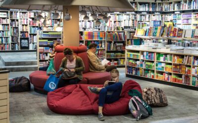 The Stacks Meet Silicon: When AI comes to the library