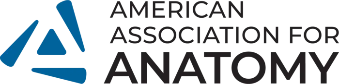 AAA